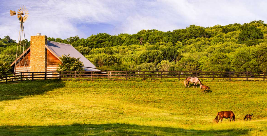 farm in Brentwood