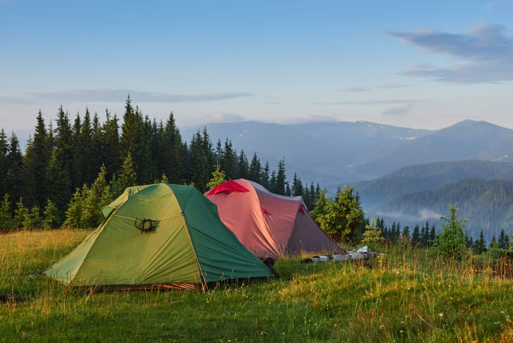 tents are in the green misty forest in the mountains